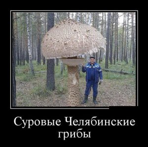 Svezhie-rzhachnye-demotivatory-pro-surovyy-Chelyabinsk-i-meteorit-2.jpg
